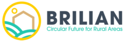 logo-brillian logo-brillian